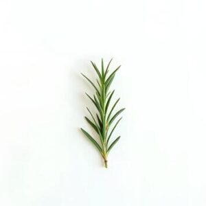 Rosemary