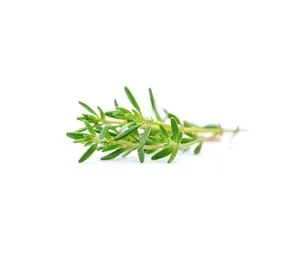 Thyme