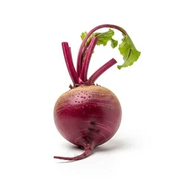 Beet Root