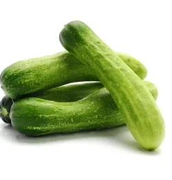 Cucumber