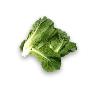 Lettuce