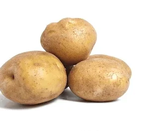 Potato
