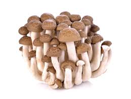 Mushrooms (often sold like crops)