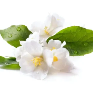 flowers & Ornamentals (if you sell them)