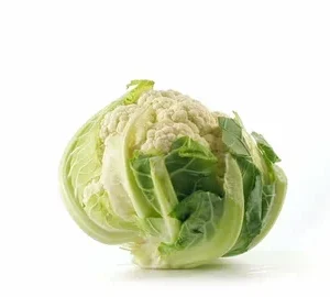 Cabbage