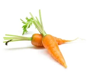 Carrot