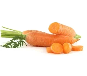 Carrot