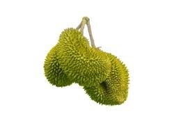 Durian