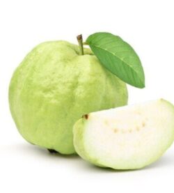 Guava