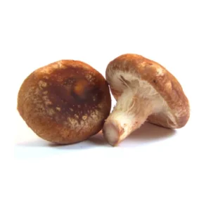 Shiitake