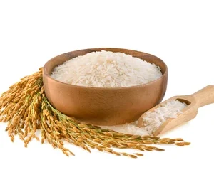 Rice