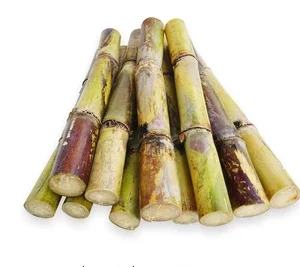 Sugar & Sweetener Crops